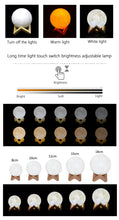 Load image into Gallery viewer, Moon Lamp